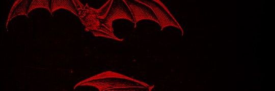 BelennFrias's profile banner image