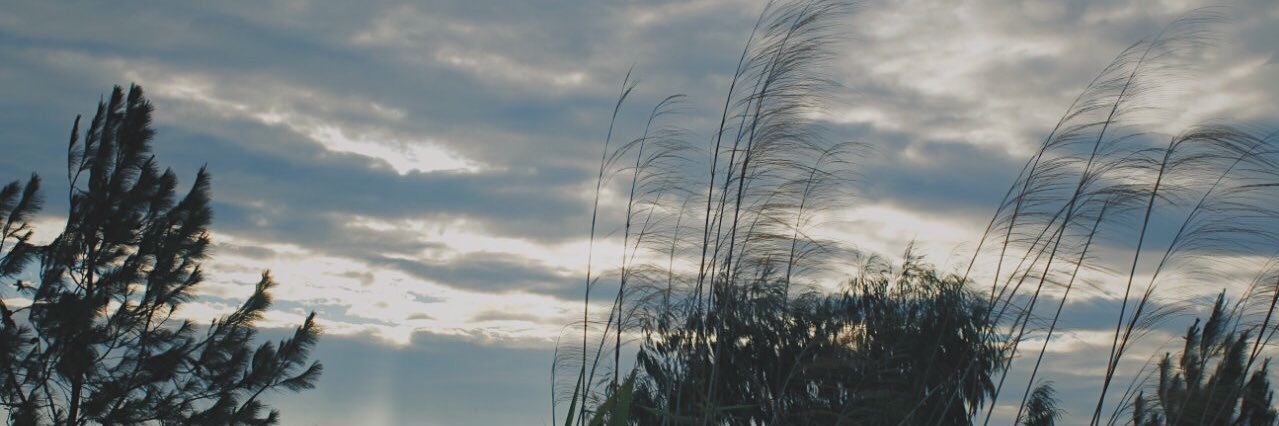 onmaykelsmind's profile banner image