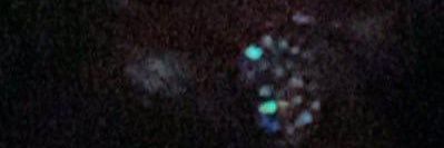 playboi spazza banner