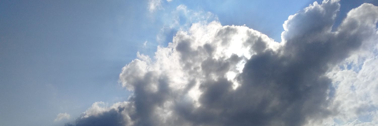 wyp007 banner