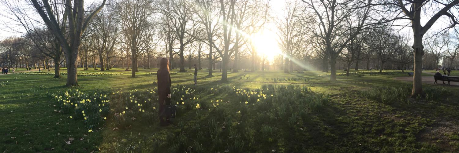 danielaaabraham's profile banner image