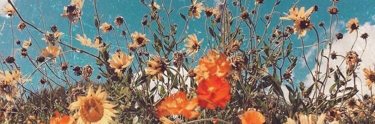 AnnaLitton1's profile banner image