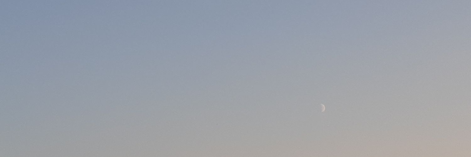 xThePinkApple's profile banner image