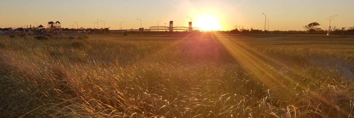 Erica Cardwell banner