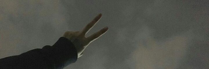▪F E R N ▪ banner