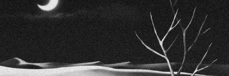 polocaio's profile banner image