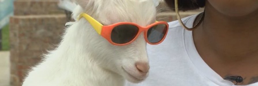 Youngchumpy's profile banner image