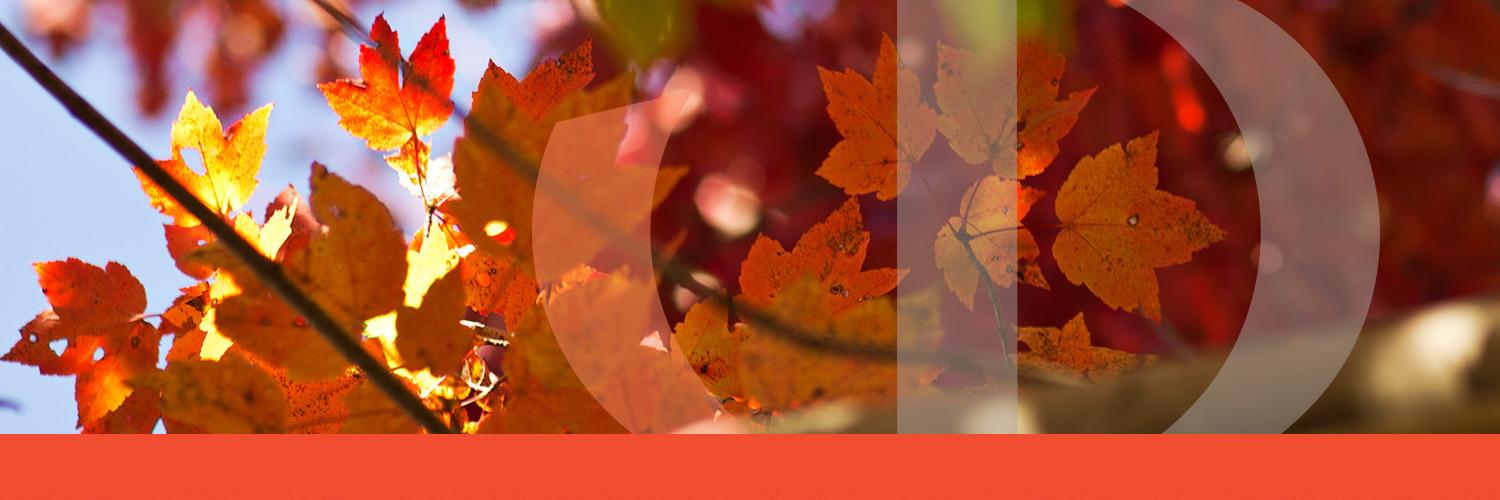 APA Eastern Division banner