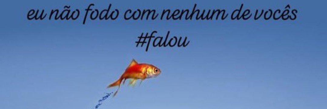 esguicho_g's profile banner image