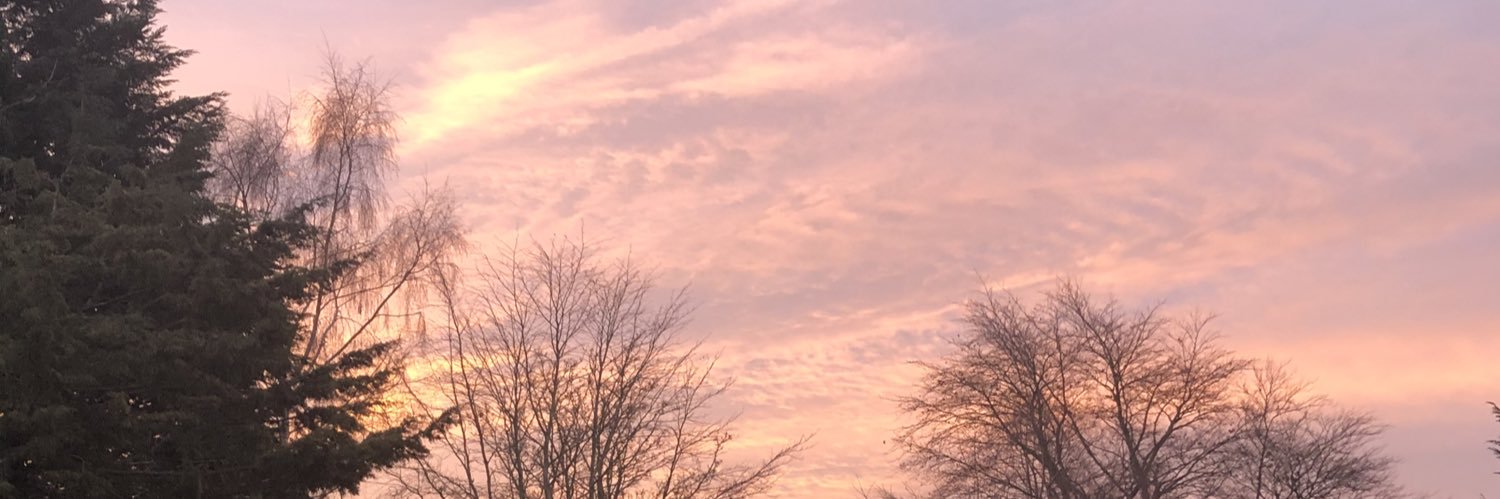 LindsBrown11's profile banner image