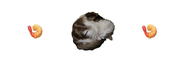 ughliyahs Profile Banner