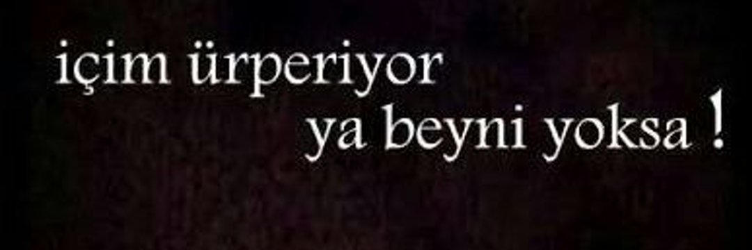 ayseiremgenc's profile banner image