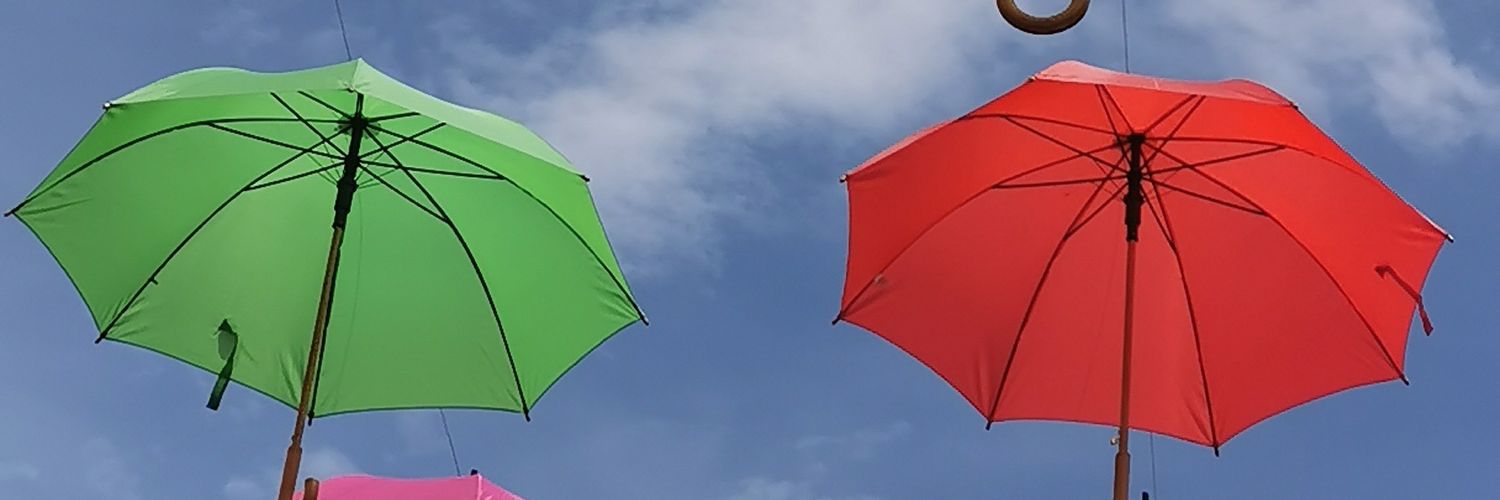 Isabelle Roignant banner