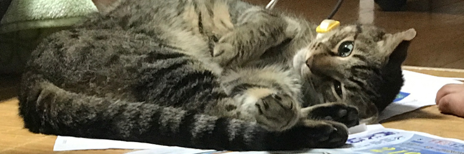 傘猫 banner