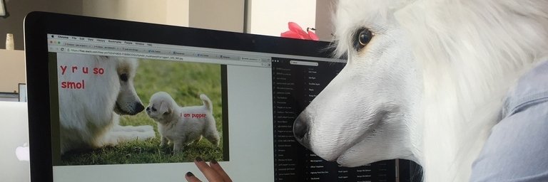 WeirdBuzzFeed's profile banner image