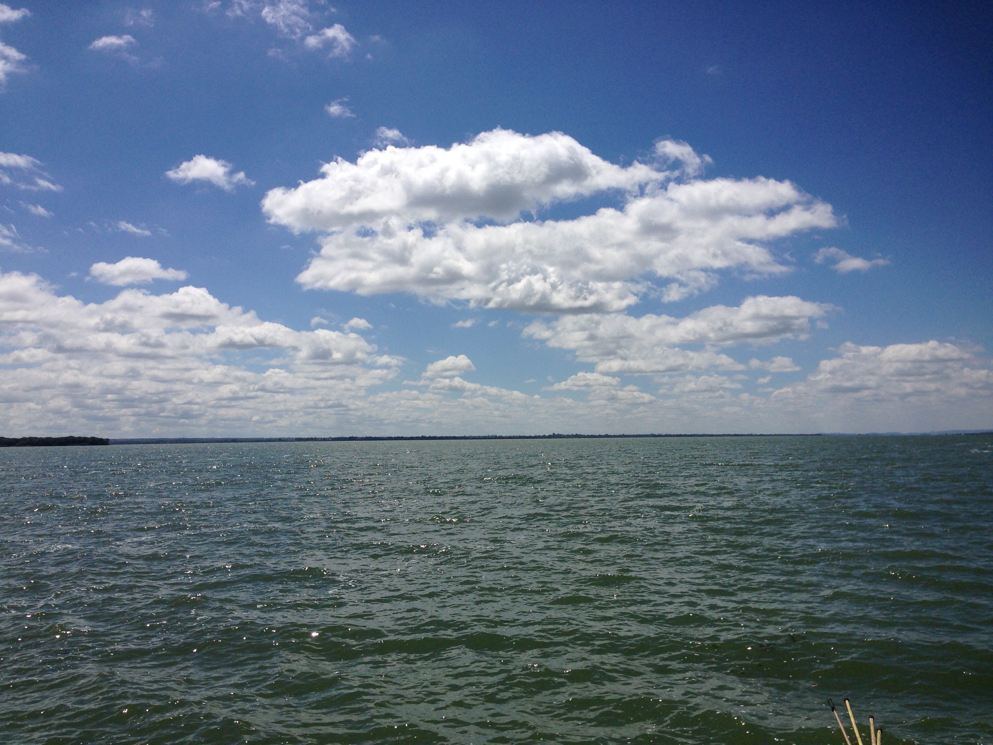 Blessing Nyamayedenga banner