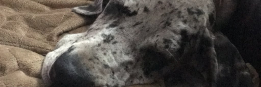 MaddBurks's profile banner image