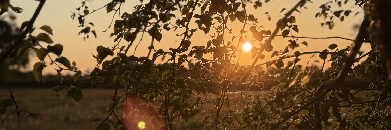 someblondekid's profile banner image