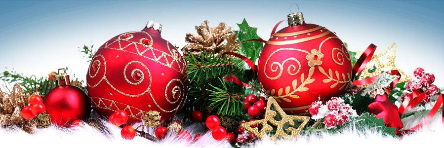 RM Freeman 🇨🇦 😷 🔬 💉x 5 banner