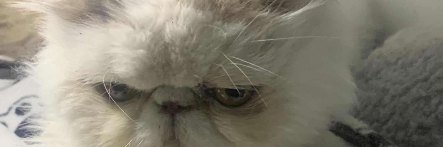 DillonHugo's profile banner image