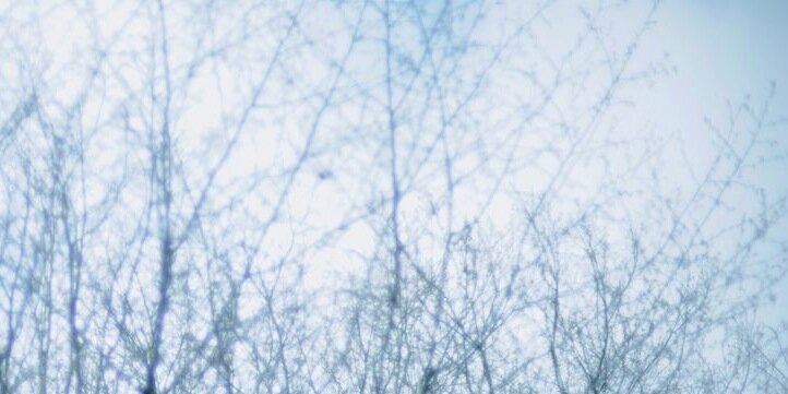 YuKadowaki's profile banner image