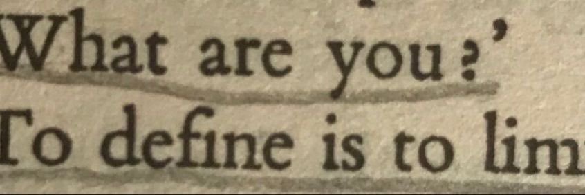 𝔏𝔲𝔩𝔲 𓆩♱𓆪 ⁸⁸⁸ 🪷 🇨🇩🇵🇸 banner