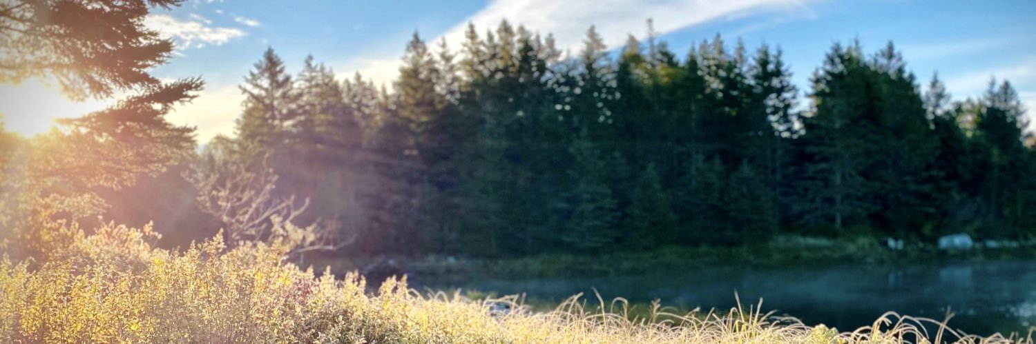 Michael Stewart banner