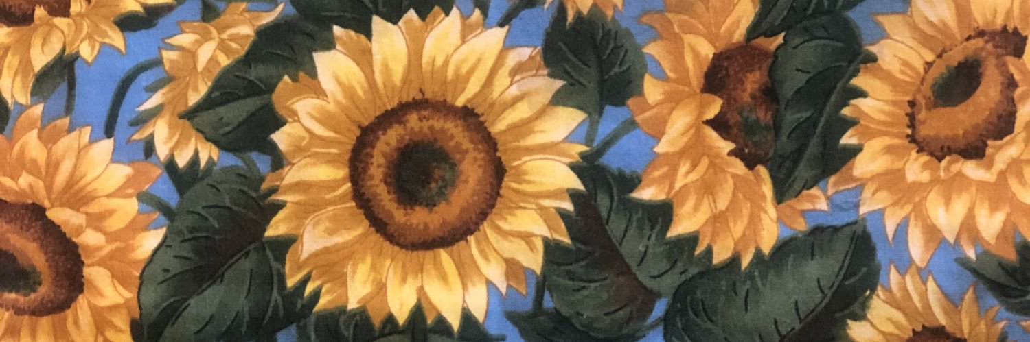 allysca's profile banner image