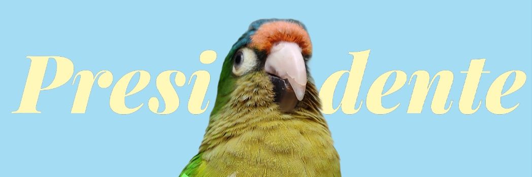 cb_majolml's profile banner image