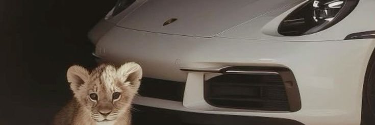 felinunez1's profile banner image