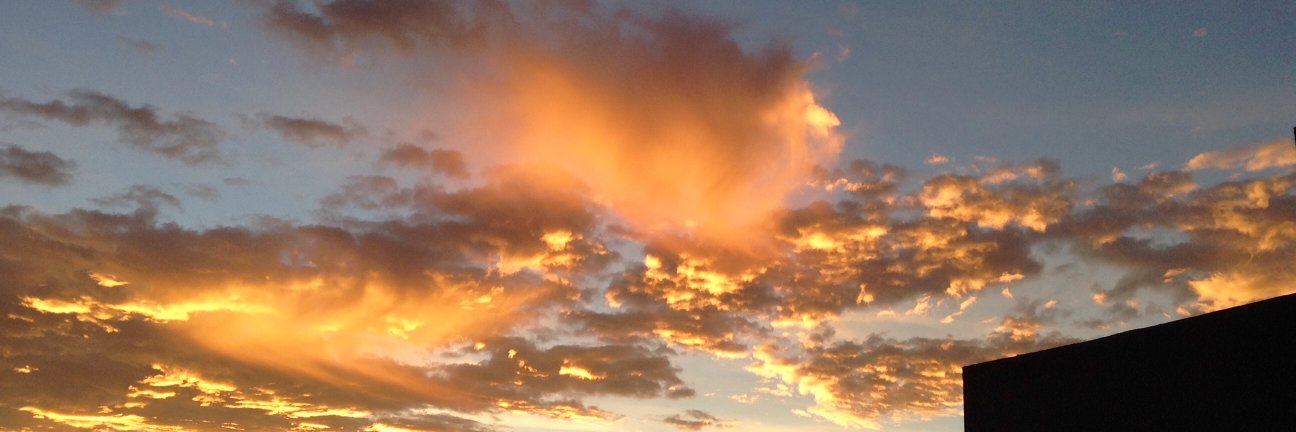 AnnaCassRLP's profile banner image