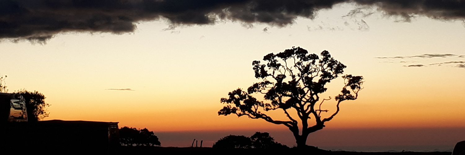 patres_17's profile banner image