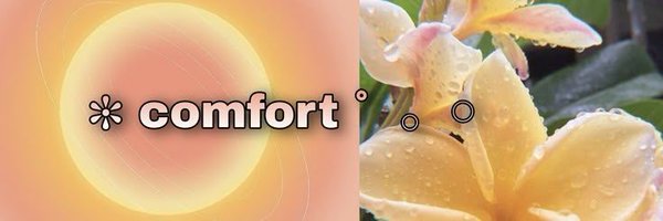 xiecats Profile Banner