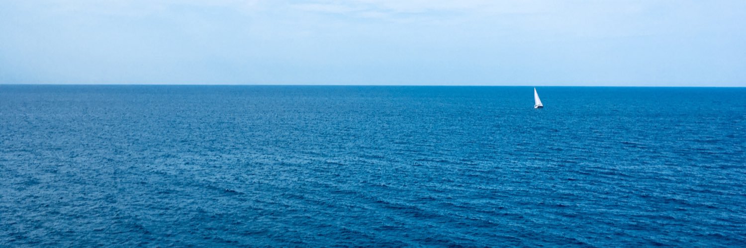 kimsalapim's profile banner image