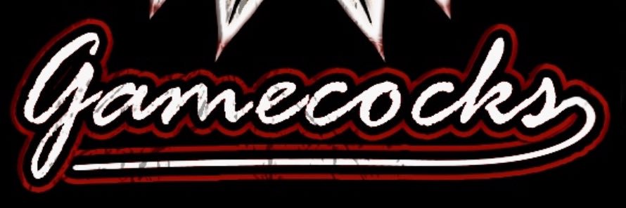 MWhale banner