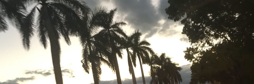 SheylaFuentes3's profile banner image