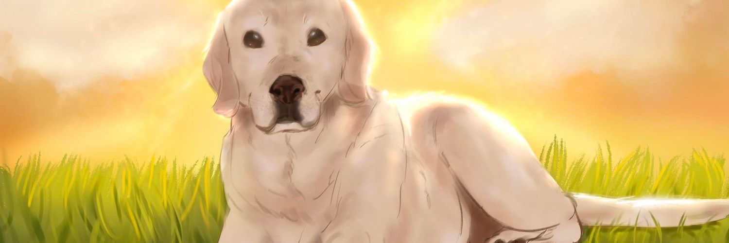 DraPhantomJ's profile banner image