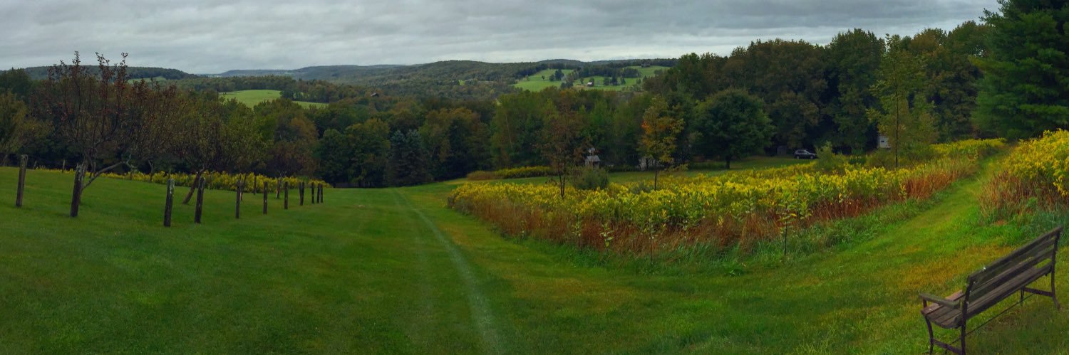 rich_renner's profile banner image
