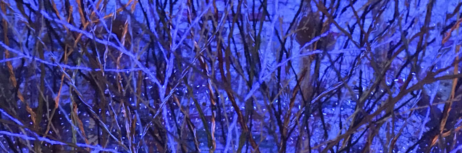 janzeljanzel's profile banner image