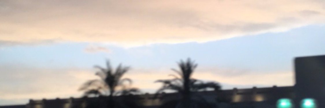 Mel_Pavey's profile banner image
