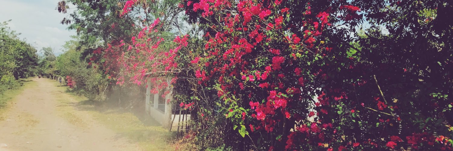 mallory_meston's profile banner image