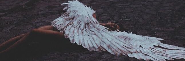 elysian visions ♡'s banner