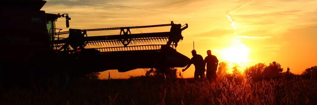 Steve Terpstra banner