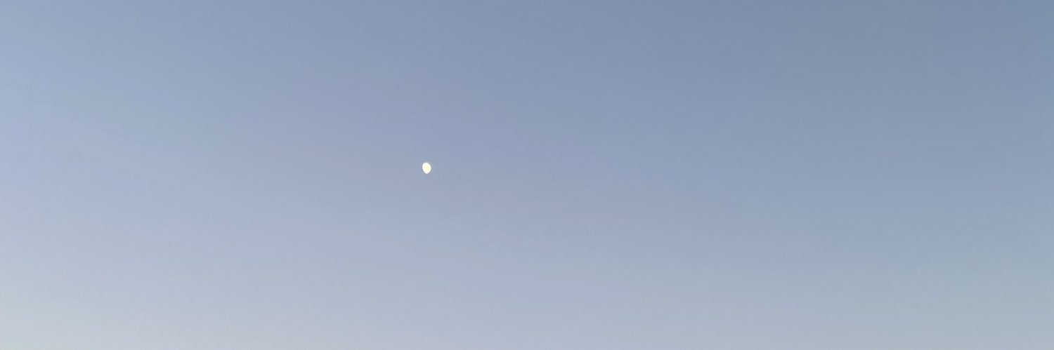 LauraServitja's profile banner image