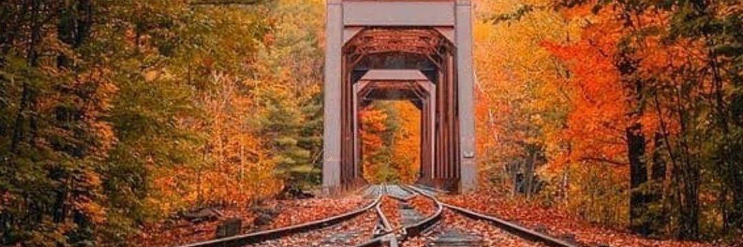 Jamyle not Jamal banner