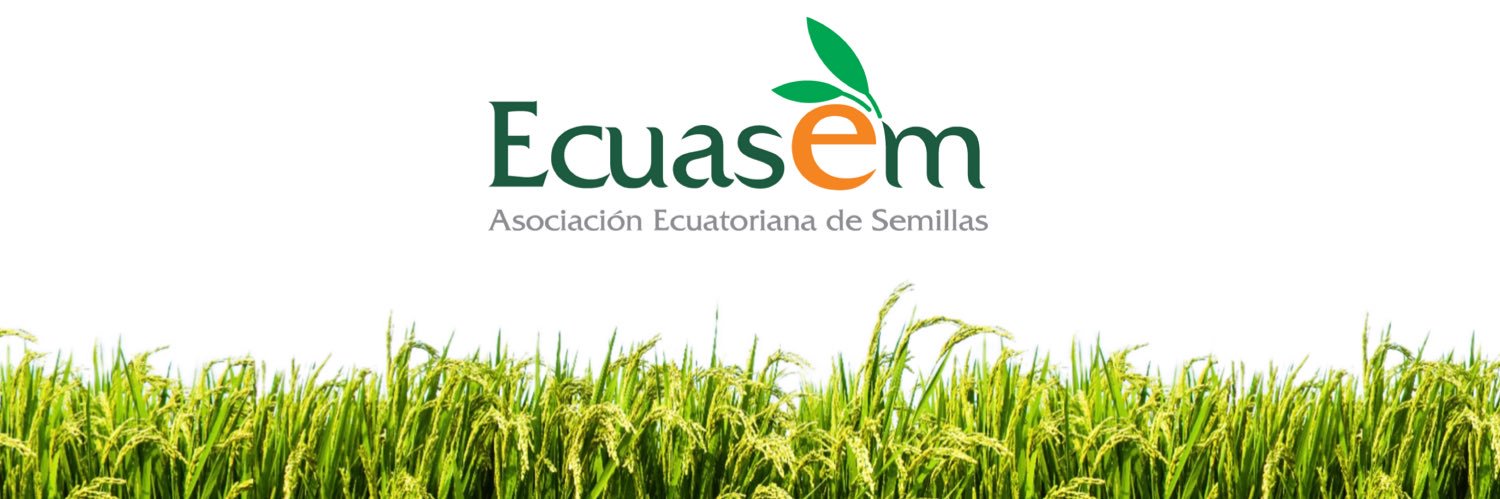 Ecuasem banner