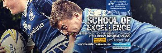 Leinster Rugby banner