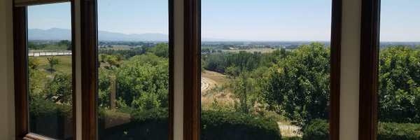 MeridianTint Profile Banner