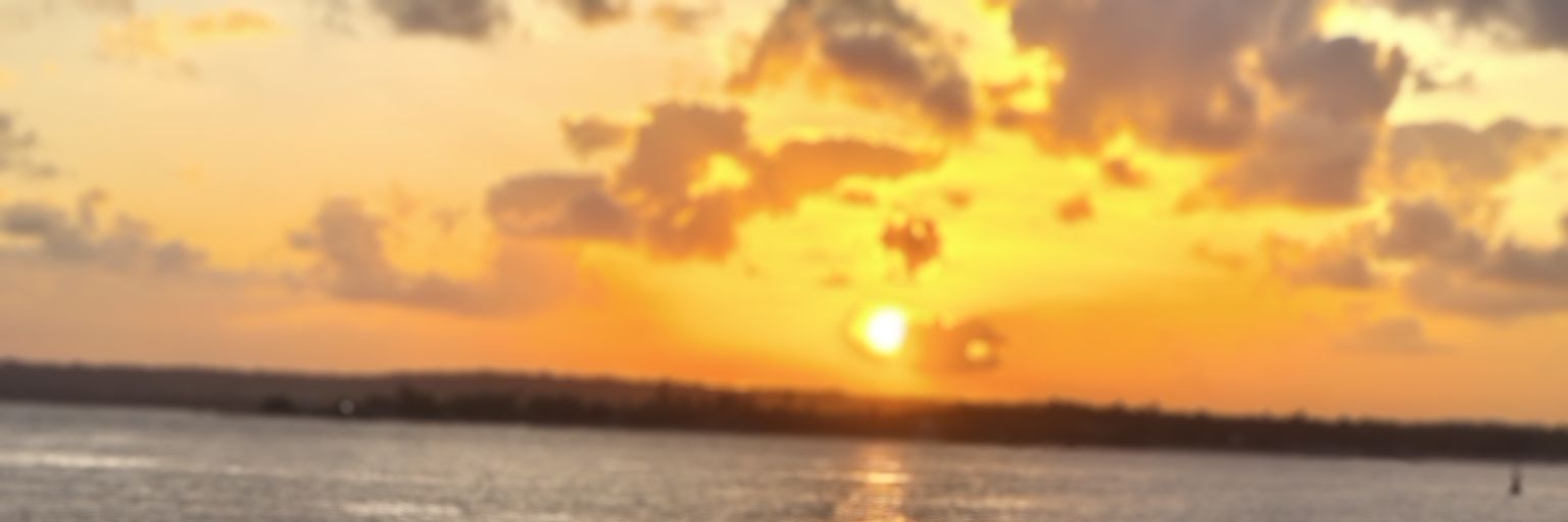 maraupimentel's profile banner image