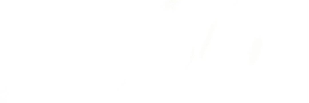 Waleed Kayani banner